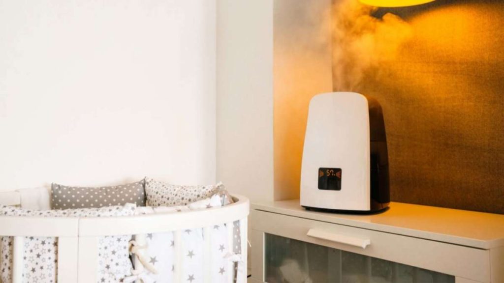 What are the Best Humidifier and Air Purifier