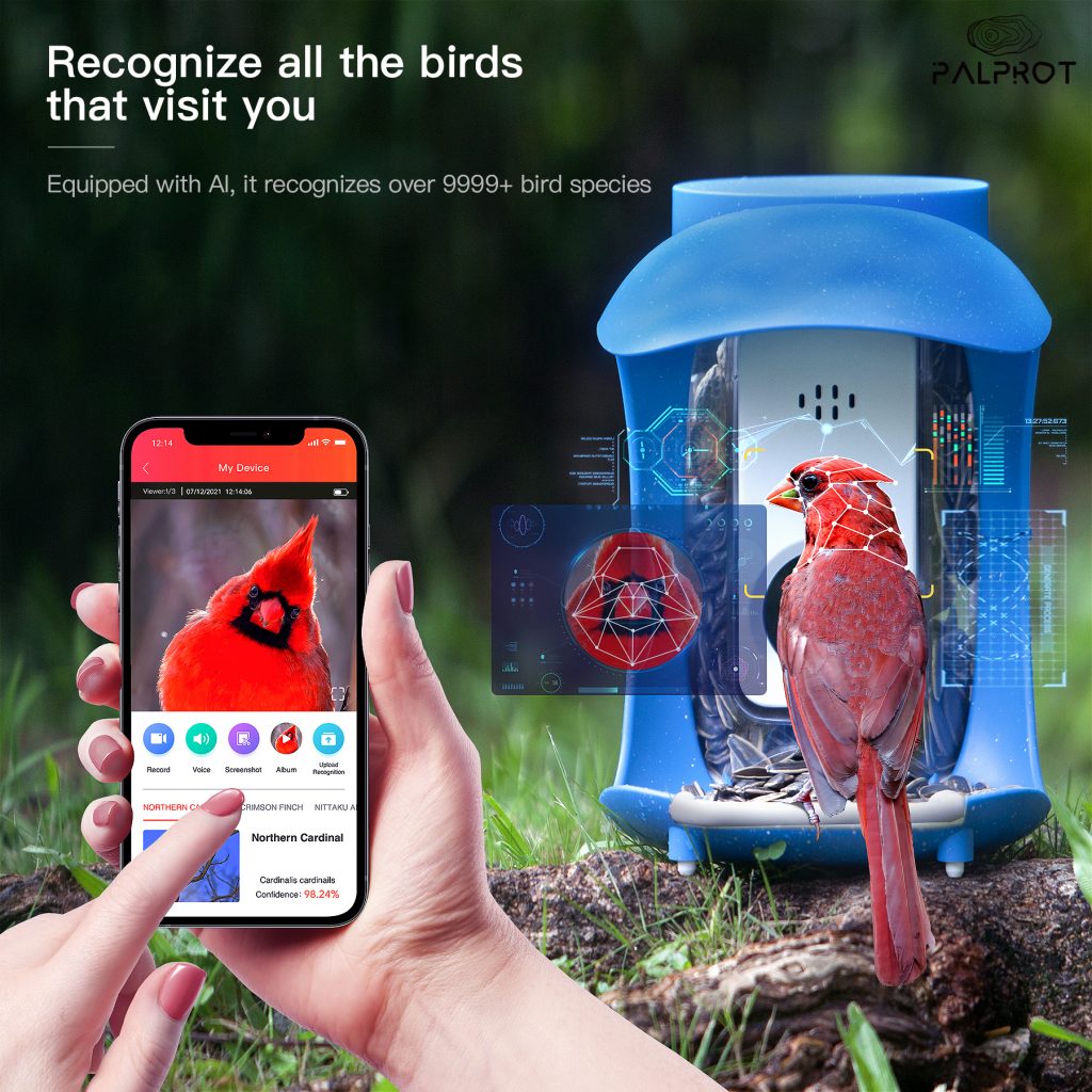 palprot smart bird feeder