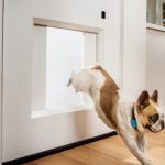 Smart Pet Door Keeps Your Furry Friends Safe