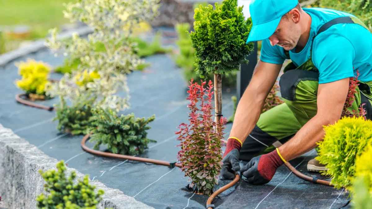 Why Hire Backyard Experts Over DIY?