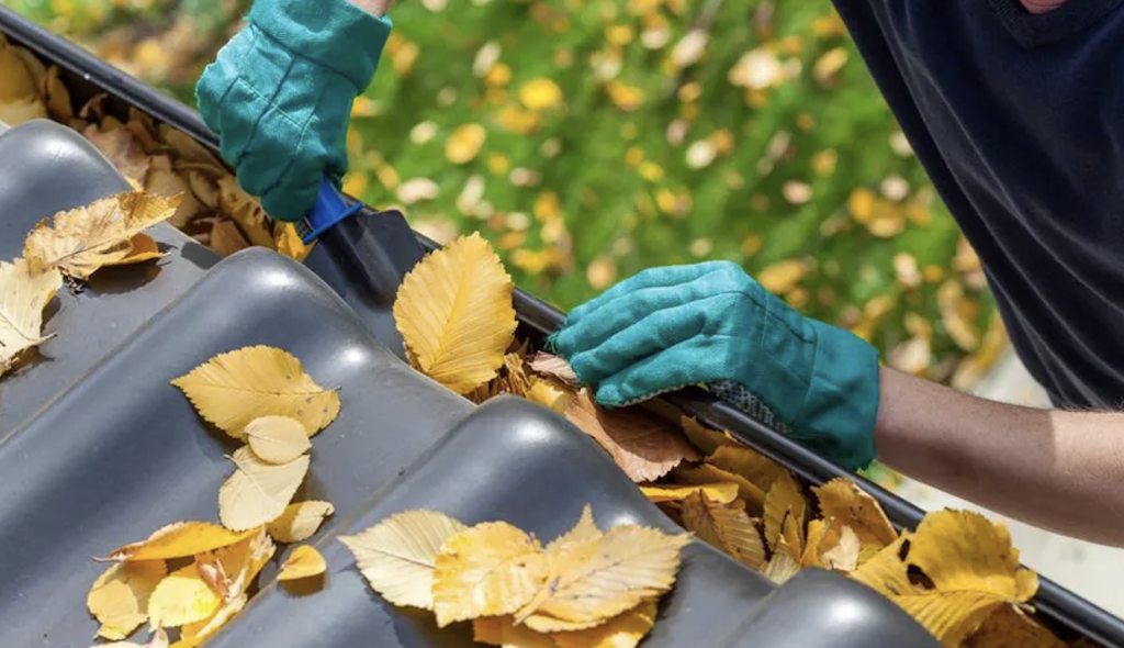 Why Hire Professional Roof Gutter Cleaning Services?