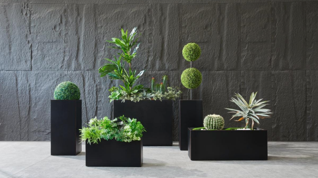 Everything You Should Know About Square Planters