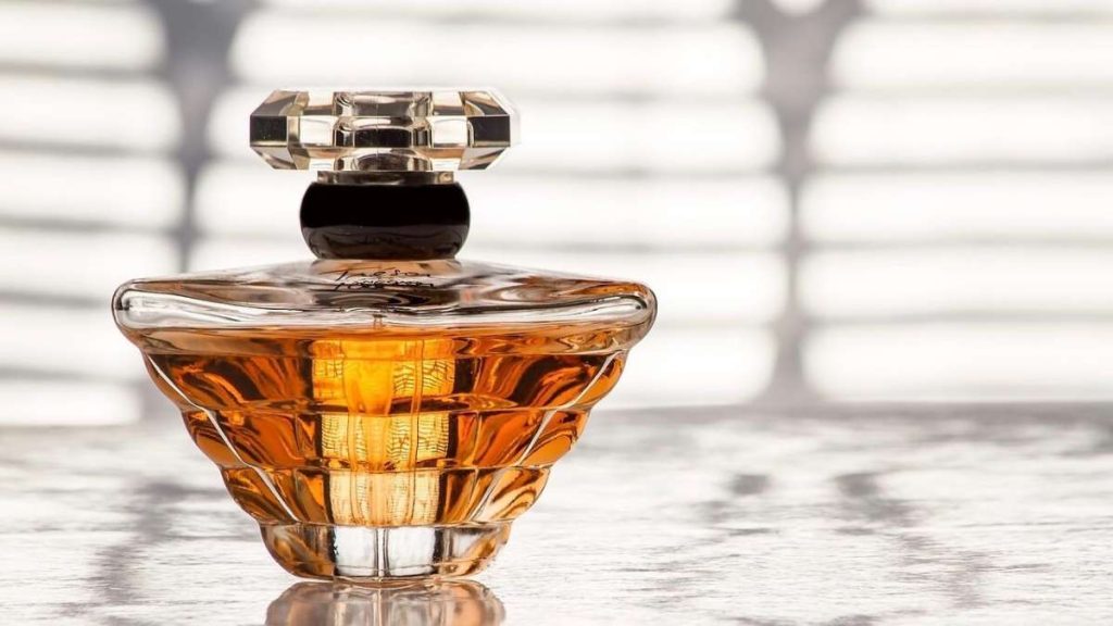 Exploring the Art of Fragrance Collection for Your Business