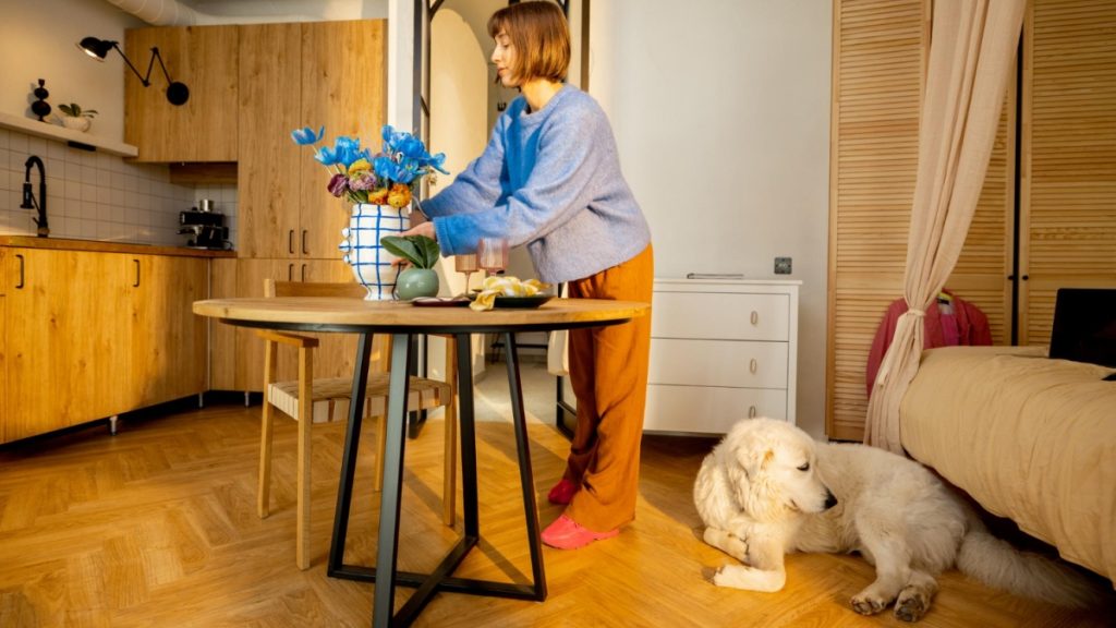 Thinking of a Pet For Your Condo? Here are 4 Ideas