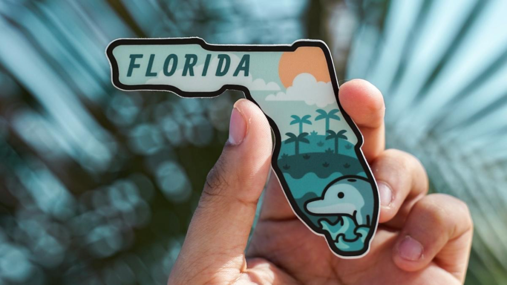 Florida Mold Removal Services Tips to Hire the Best Company for Testing and Remediation