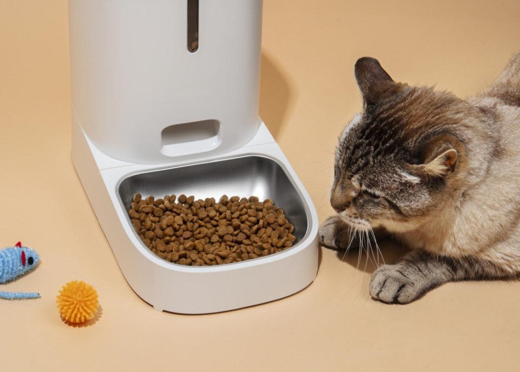 Image 1 of What is the Best Dry Cat Food? Key Factors to Consider for Your Cat’s Health